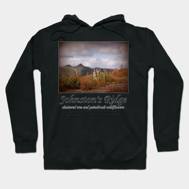 shattered tree & paintbrush wildflowers on Johnston's Ridge Hoodie by DlmtleArt